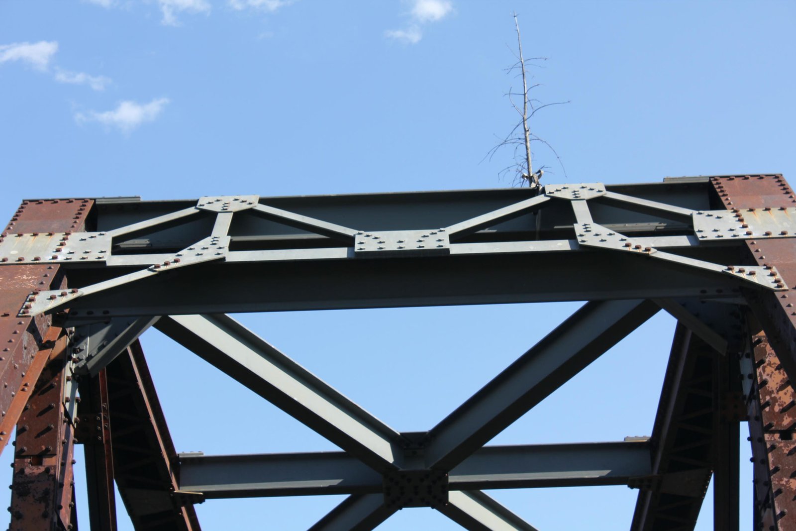 Portal bracing